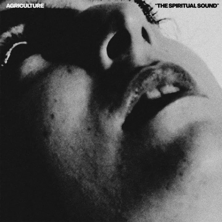 Agriculture - Spiritual Sound, The - CD - New