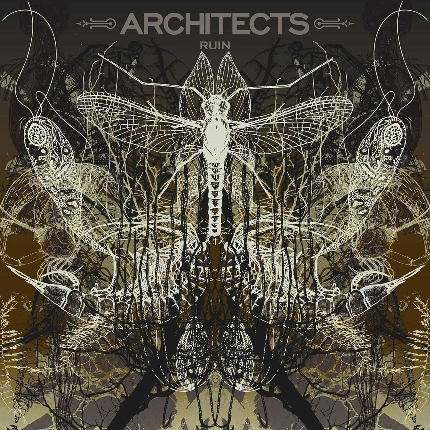 Architects - Ruin (Ltd. Ed. 2025 Picture Disc reissue) - Vinyl - New