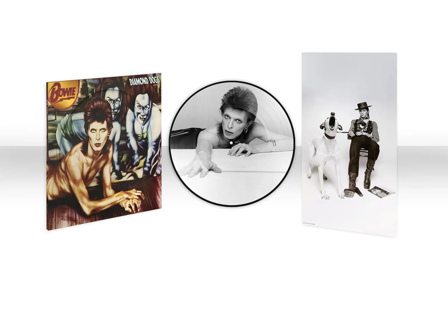 Bowie, David - Diamond Dogs (2024 Picture Disc reissue) - Vinyl - New