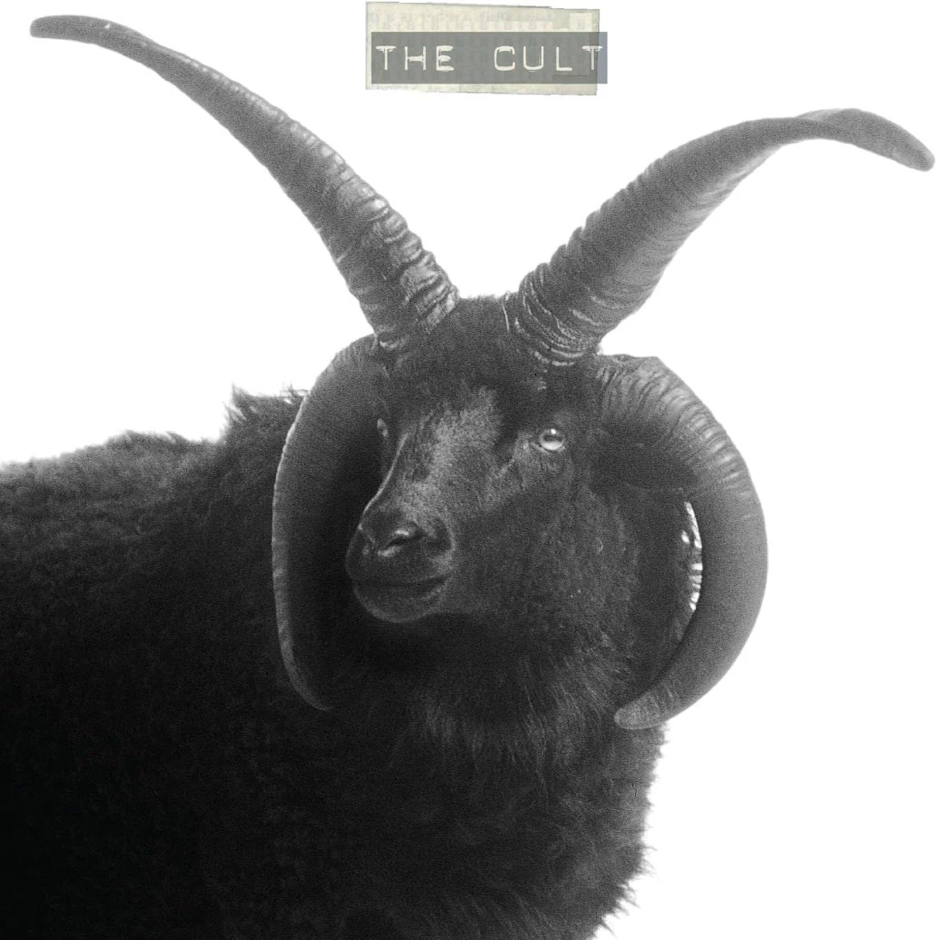 Cult - Cult, The (1994) (2023 2LP reissue) - Vinyl - New