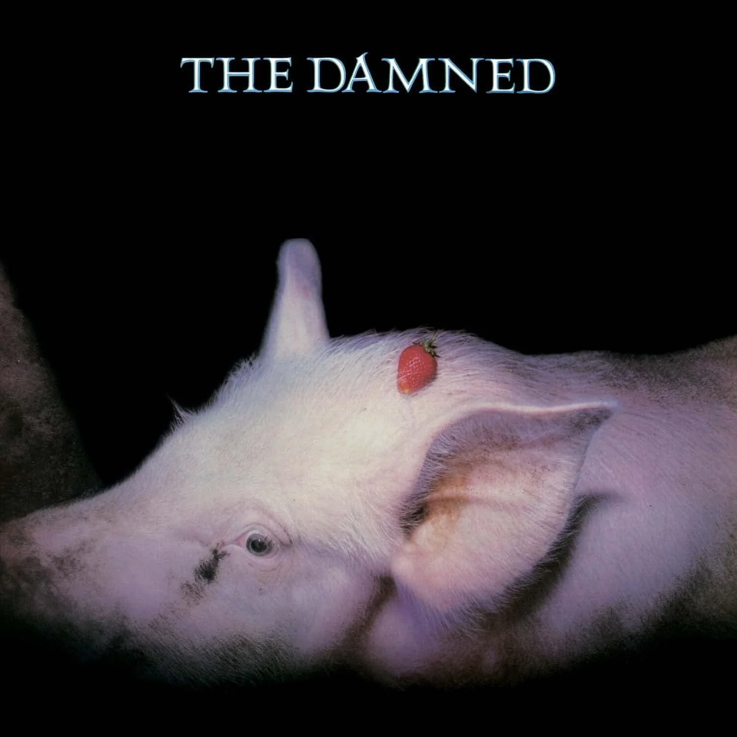 Damned - Strawberries (2026 digipak reissue) - CD - New