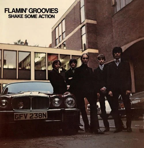 Flamin' Groovies - Shake Some Action (Ltd. Ed. Coloured Vinyl) - Vinyl - New