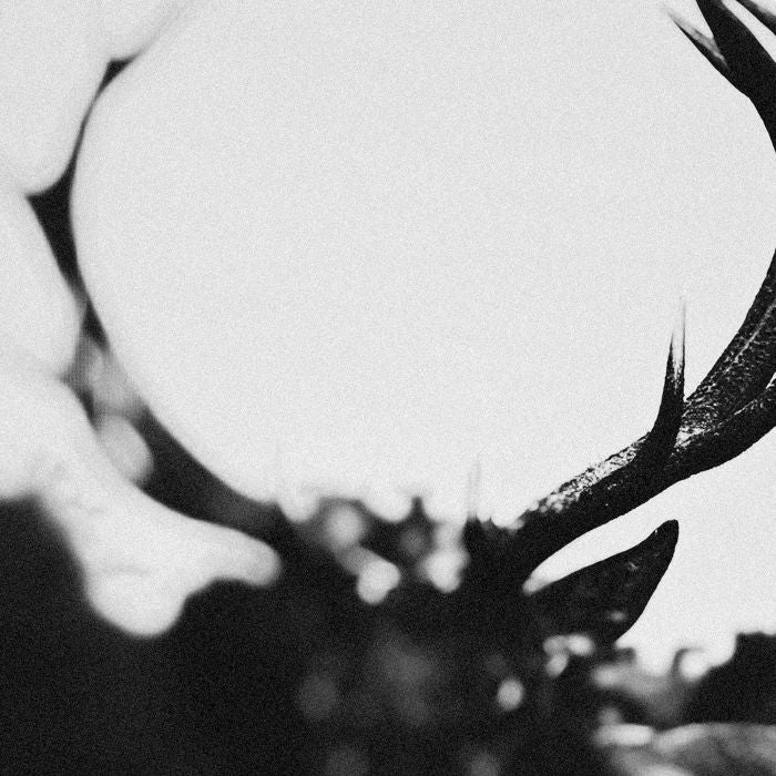Ihsahn - Ihsahn (Orchestral) (2024) (2LP Clear with Black Smoke vinyl gatefold) - Vinyl - New