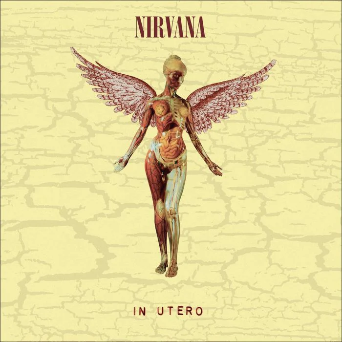 Nirvana - In Utero (Ltd. 30th Anniversary Ed. 180g LP+10" gatefold reissue) - Vinyl - New - Image 2