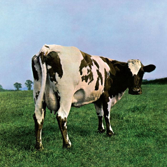 Pink Floyd - Atom Heart Mother (180g remastered gatefold reissue) - Vinyl - New