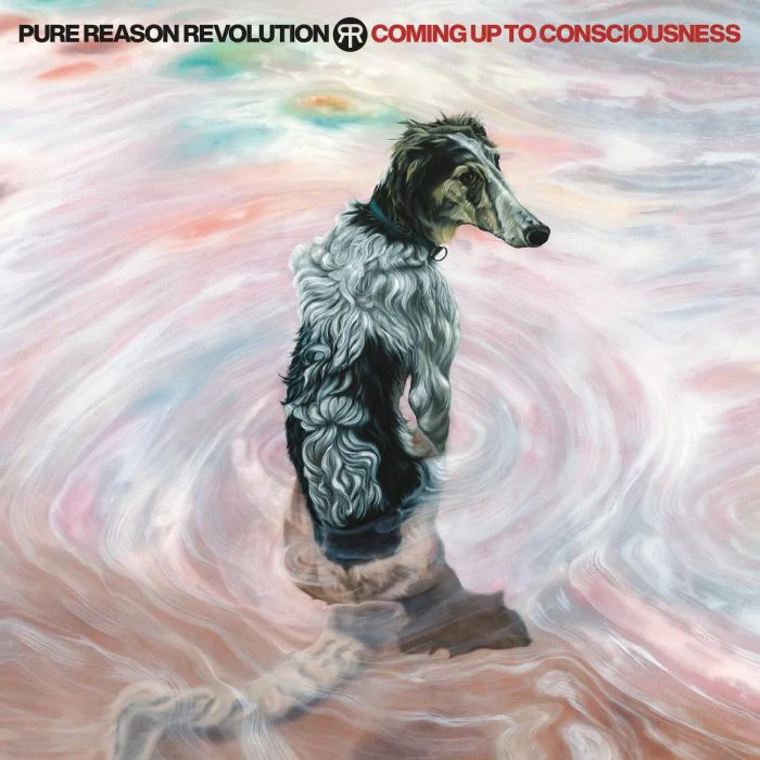 Pure Reason Revolution - Coming Up To Consciousness - CD - New
