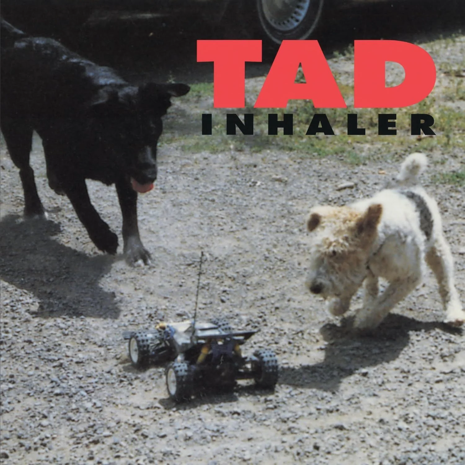 Tad - Inhaler (2025 reissue) - CD - New