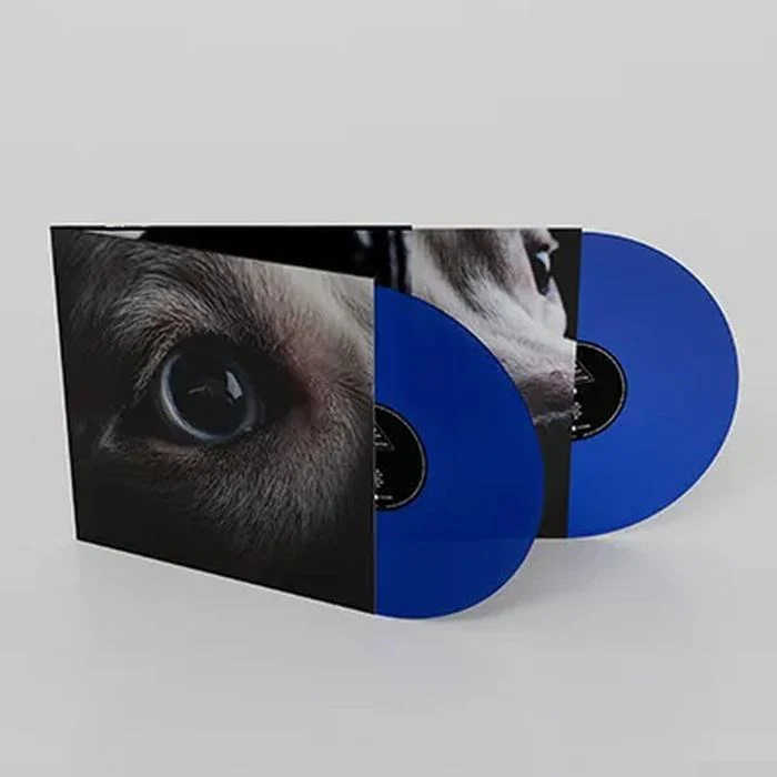 Waters, Roger - Dark Side Of The Moon, The: Redux (2LP Blue vinyl gatefold) - Vinyl - New