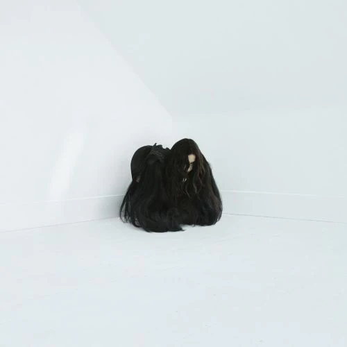 Wolfe, Chelsea - Hiss Spun - CD - New